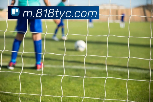 太阳城平台生态图